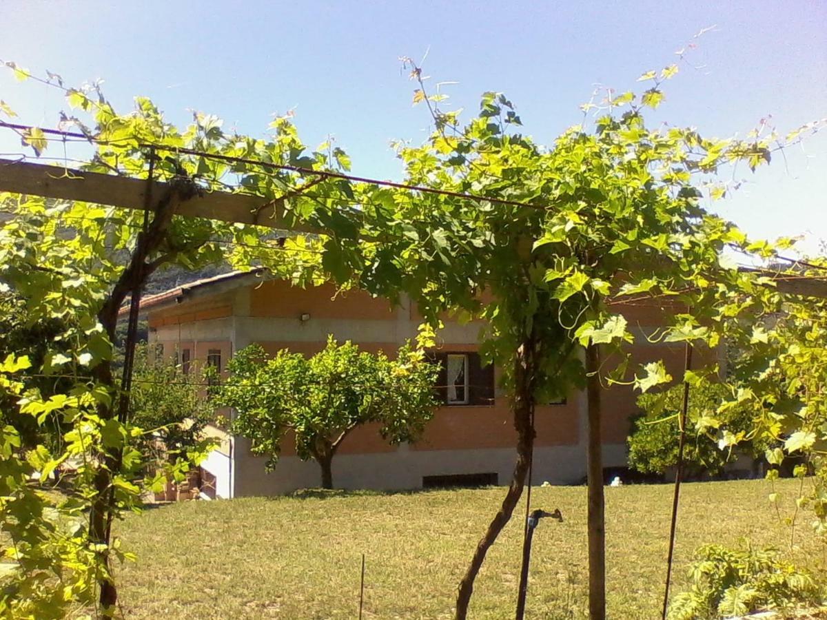 The Country Path B&B Toffia Luaran gambar